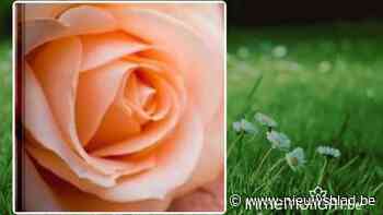 Marie-José Van Asten, 89 jaar