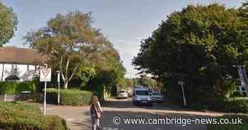 Dead puppy found by children in shoebox next to Cambs play area