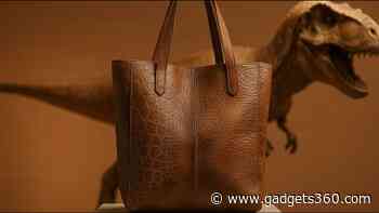 Researchers Challenge Claims of 'Leather-Like' T. rex Skin