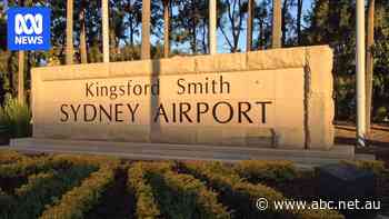 Airline employee in hospital after falling 5 metres from aerobridge at Sydney Airport