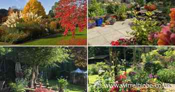 National Gardening Week: 13 secret gardens in Wirral open to the public