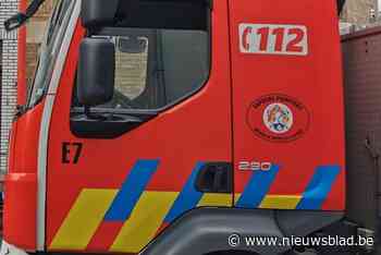 Vrouw gereanimeerd bij garagebrand in Evere: “Helaas ook zes katten omgekomen”