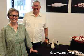 Duo-tentoonstelling in bib: Pascal Meyvaert fotografeerde de keramiek van Dominique Buysse