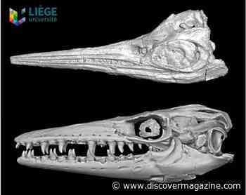 Fierce, Aquatic Reptilian Predators Disappeared After an Ancient Climate Change Event