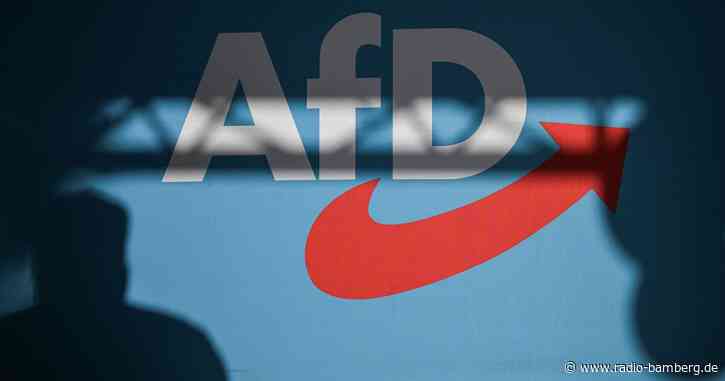 Debatte über AfD-Leute im Staatsdienst und Parteifinanzen
