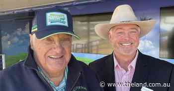 Selecting for meat eating quality must focus on carcase data urges respected Angus breeder