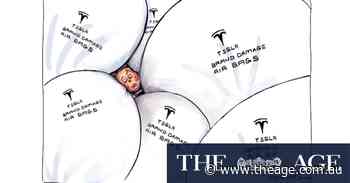 The culling of koalas is shameful and a disgrace