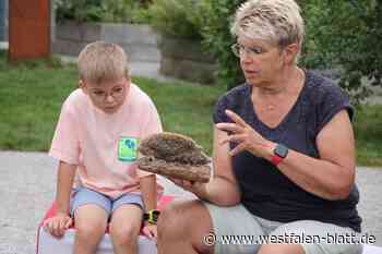 Kurse für Schulkinder: Kreativ werden im „Bunten Klassenzimmer“