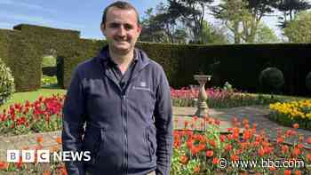 Colourful tulips blooming lovely for annual flower festival