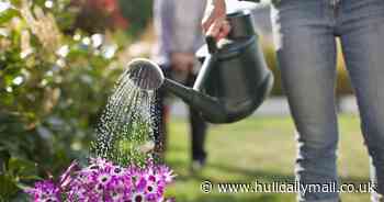 Yorkshire Water urges people to 'use water wisely' as dry weather continues