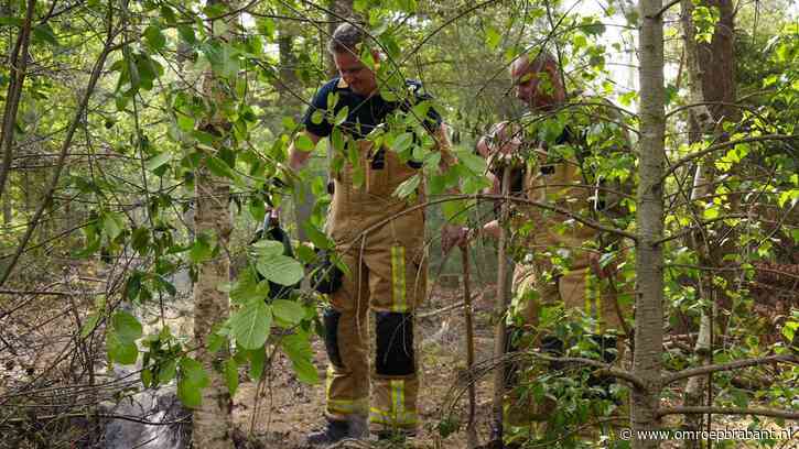 Natuurbrandjes bezorgen brandweer veel werk, ook schade op crossbaan