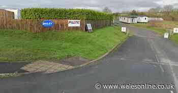 Plan to set up dog daycare business on site of former garden centre