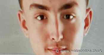 Police appeal as boy, 15, goes missing