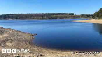 Firm urges people to 'use water wisely' in gardens