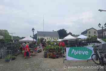 Bloemenmarkt lokt plantenliefhebbers naar centrum