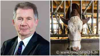 „Macht betroffen“: Nach Tierdrama in Griesstätt und Bad Aibling – Milch-Experte nimmt Stellung