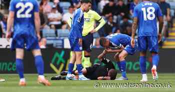 Leicester City v Southampton match stopped and referee replaced after freak incident