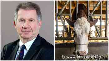 „Macht betroffen“: Nach Tierdrama in Griesstätt und Bad Aibling – Milch-Experte nimmt Stellung