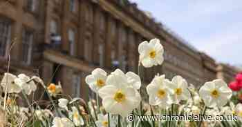 Can you name all of these Newcastle city centre streets? Take our picture quiz