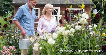 Do I have to allow my neighbour access to my garden? This is what the law says