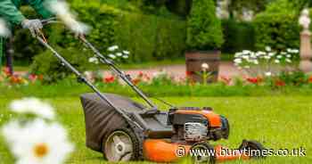 What is the best time of day to mow your lawn? Expert shares tips