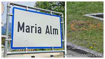 Beziehungsdrama in Maria Alm: Deutsche mit Kopfschuss getötet - das ist über das Ex-Paar bekannt