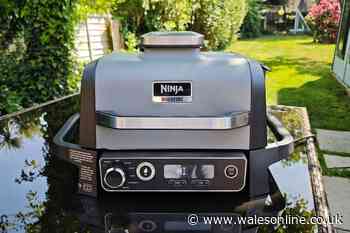 'I tested the reduced price Ninja Woodfire and it's a BBQ game changer'