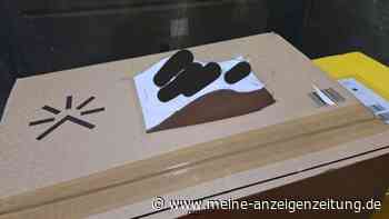 DHL-Mitarbeiter klärt auf, warum Pakete nicht ankommen – Kunden sollten simplen Fehler vermeiden