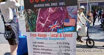 Shocking 'dog meat' stall stops Bristol shopper in their tracks