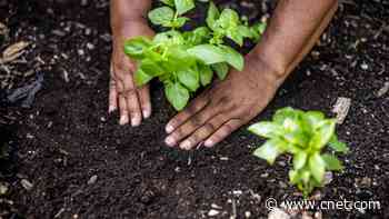 Best Garden and Seed Delivery Services for 2025