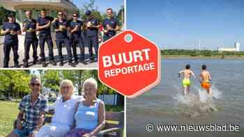 Strand van Sint-Anneke krijgt nieuw zand: “Vroeger liep hier een man rond met een string die aan alle vrouwen vroeg of ze ingesmeerd wilden worden”