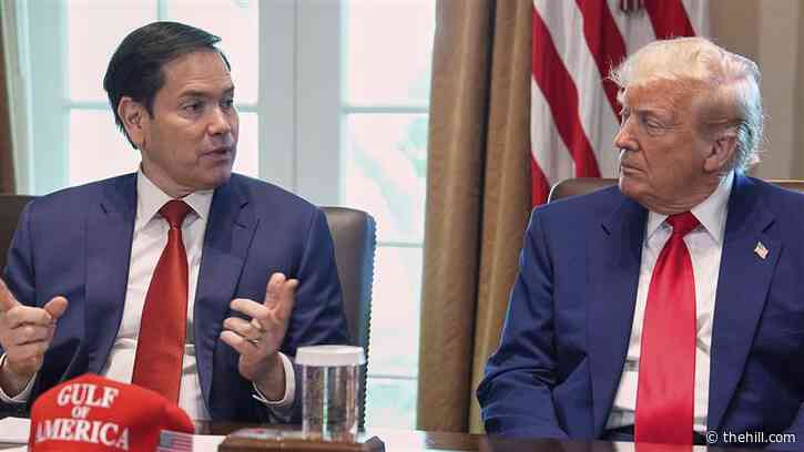 Rubio’s dual roles raise doubts: ‘The double-hatting is impossible’