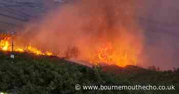 'Avoid the area': Large fire breaks out on Bournemouth clifftop