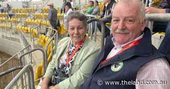 World Angus Forum puts on a show for Northern Irish cattle, chicken producers