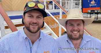 Simple and safe tips to get the most out of your livestock vaccination program