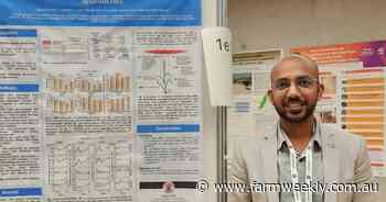 Young gun Agyeya Pratap's journey from India to wheat heat tolerance in WA