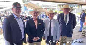 Tamworth's World Angus Forum draws 3000 visitors on day one, delighting all