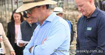 Key regional seat results: Nationals hold strong amid Coalition carnage