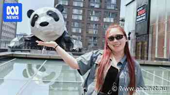 Why some hotels in China don't accept foreign tourists