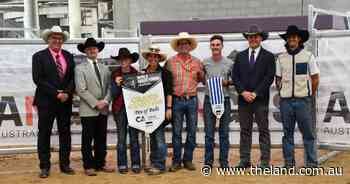 NSW stud wins pen of three bulls; International judges praise Aus genetics