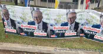 A Labor majority may be better for ag than deals and minorites: analyst