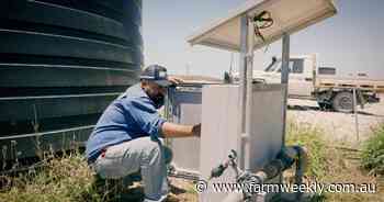 How are WA's northern beef producers adopting on-station technology?