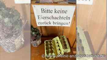 Diskussion um Eierkartons entflammt – „Nein Siglinde, die sind nicht ‚noch gut‘“
