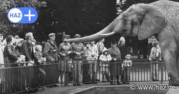 160 Jahre Zoo Hannover: Rückblick in die Geschichte