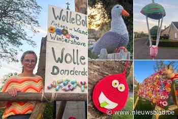 “Mijn zot idee is nog wat groter uitgedraaid”: jarig rusthuis ‘breit’ uit tot zelfs het hele dorp te klein werd