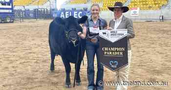 Team Canada, USA sweep the heats in World Angus Forum youth parade comp