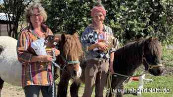 Kuscheln und betüdeln: Wer möchte Pate für ein Pony werden?