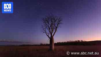 Stargazers set to catch a ‘fantastic’ meteor shower this week