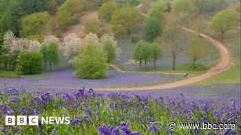 Step, snack, sit: Bank holiday walks and picnic spots