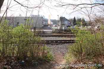 Verwaltung soll Lösung erarbeiten